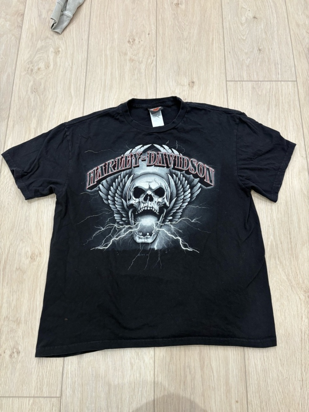 Vintage Y2K Harley-Davidson Shirt Men’s size XL